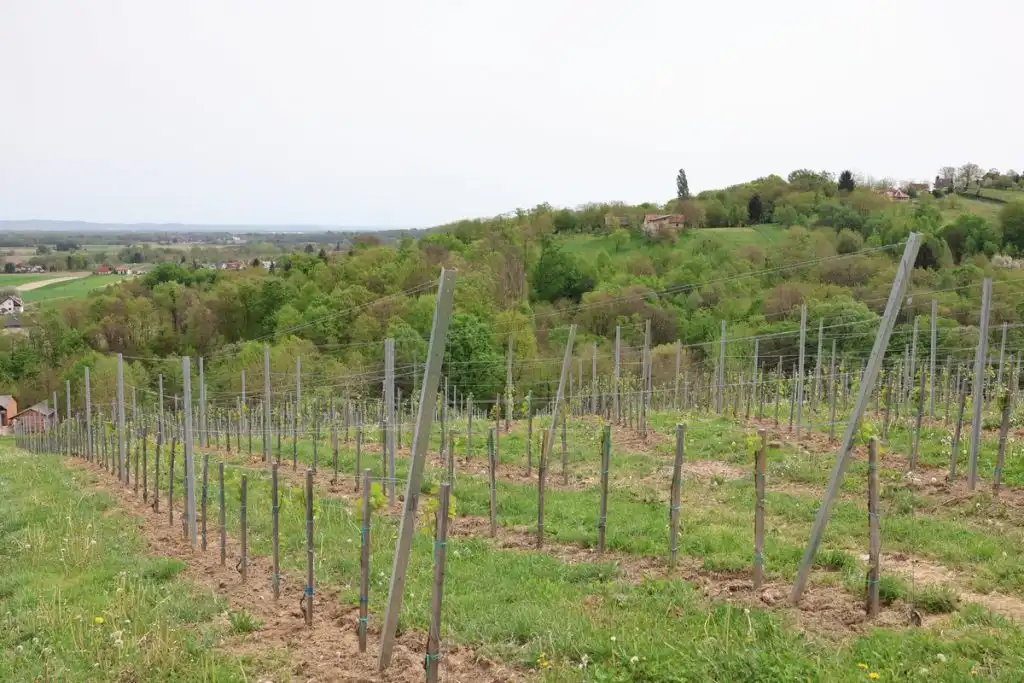 Najava-manifestacije-Urbanovo-9-1024×683