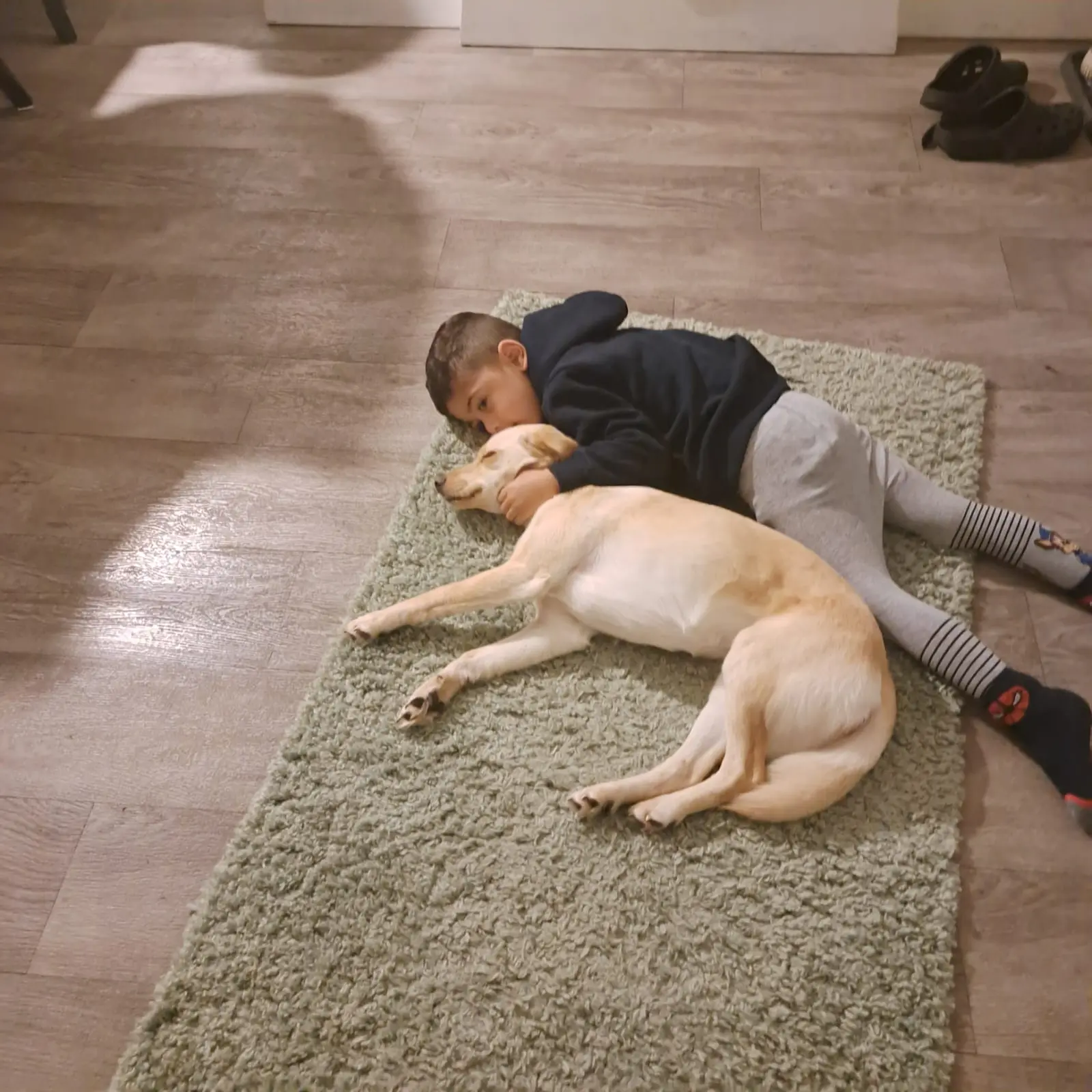 Nala, Azil, Čakovec (1) Nala, Azil, Čakovec (1)