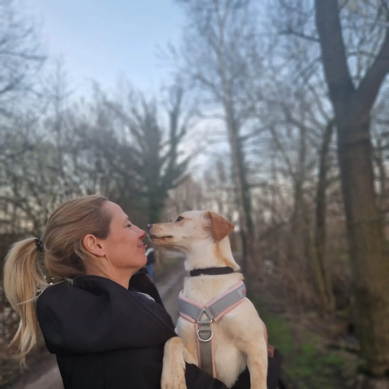 Nala, Azil, Čakovec (11) Nala, Azil, Čakovec (11)