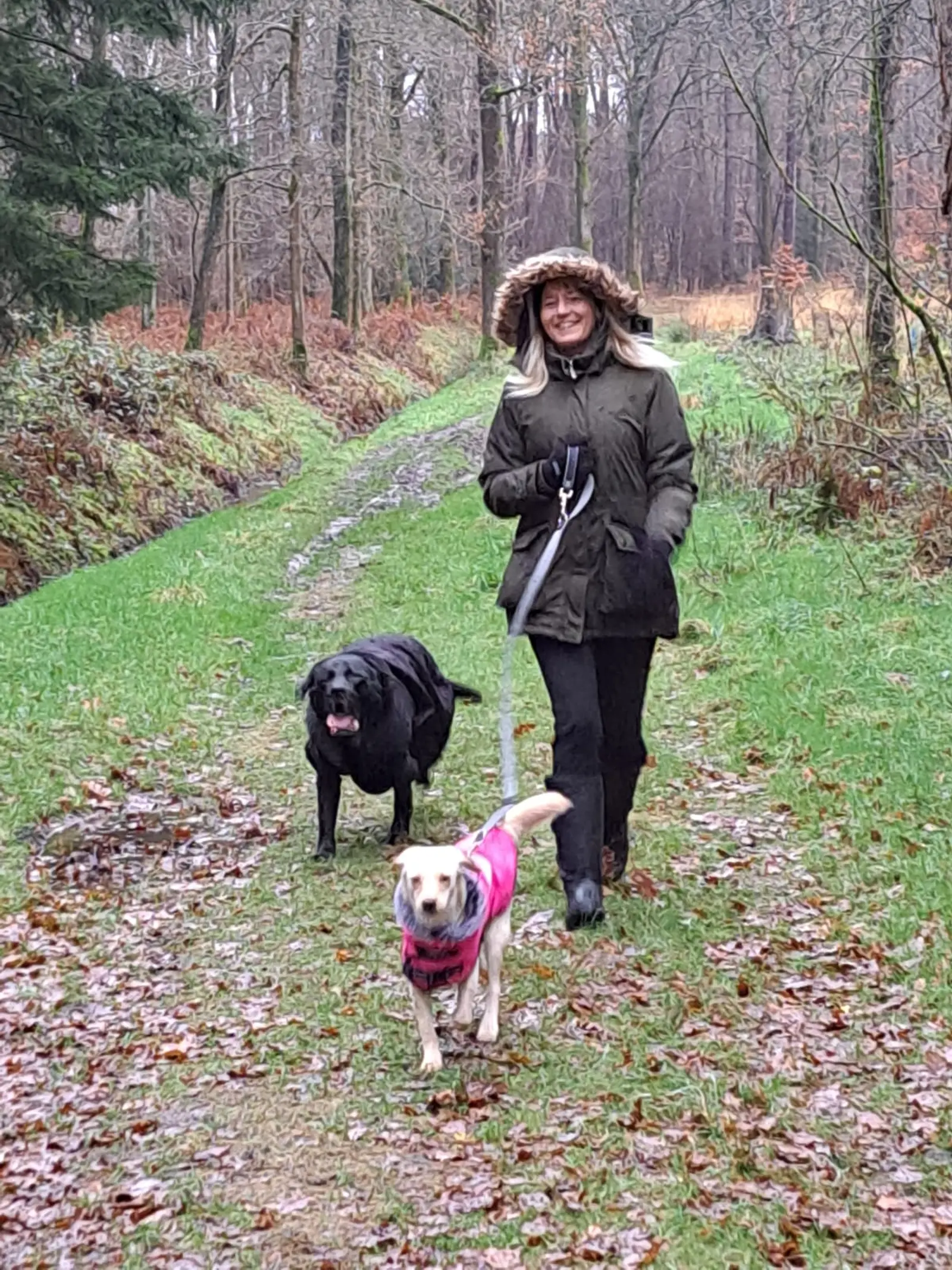 Nala, Azil, Čakovec (17) Nala, Azil, Čakovec (17)