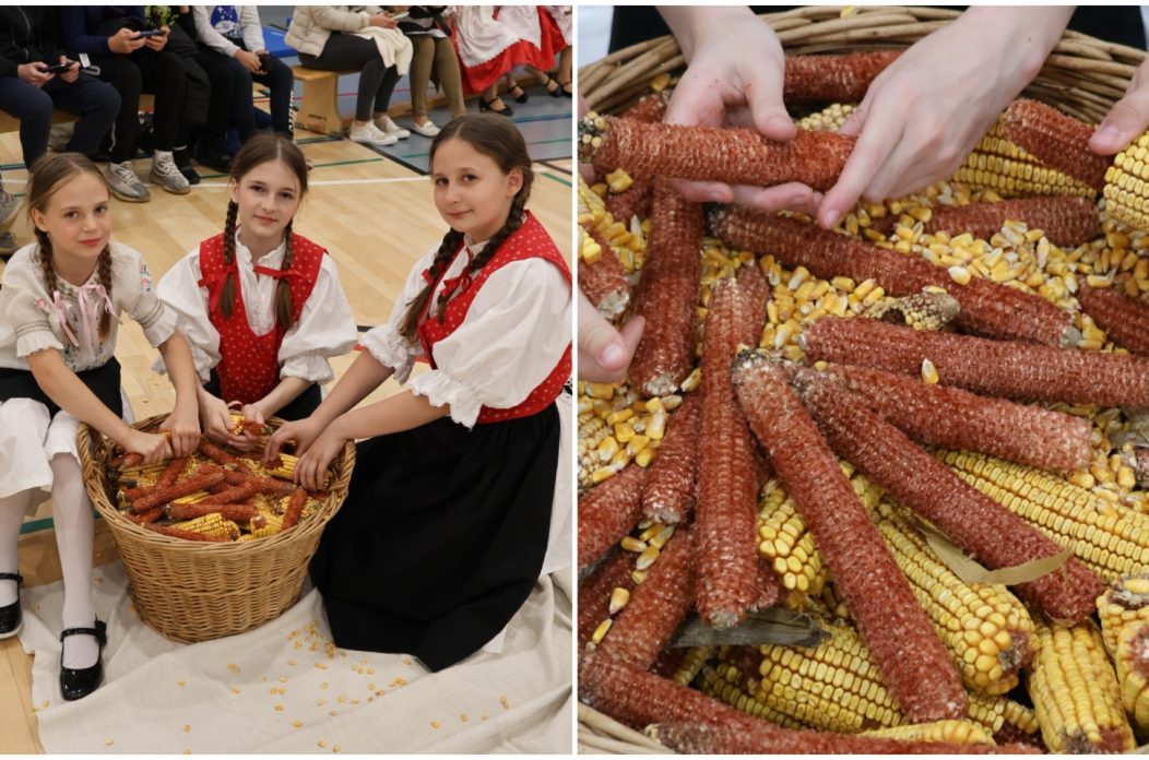 Naslovna Draškovec kuruzu