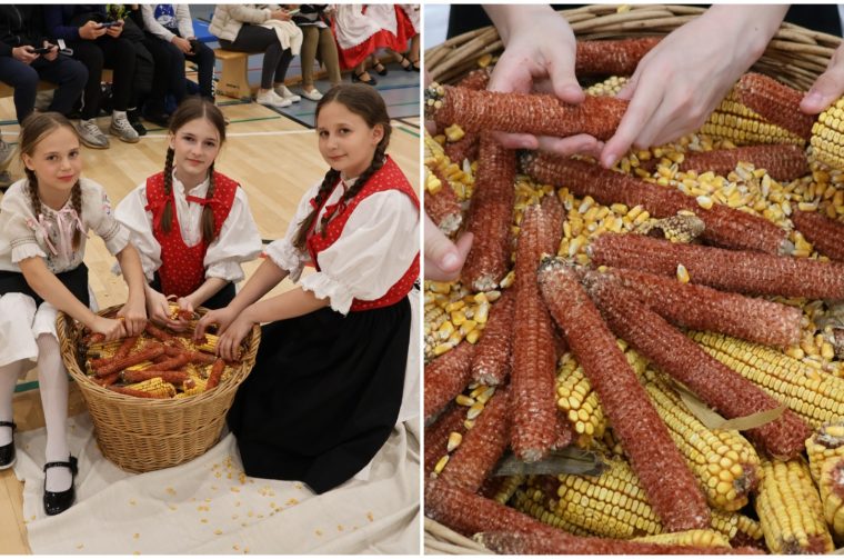 Naslovna Draškovec kuruzu
