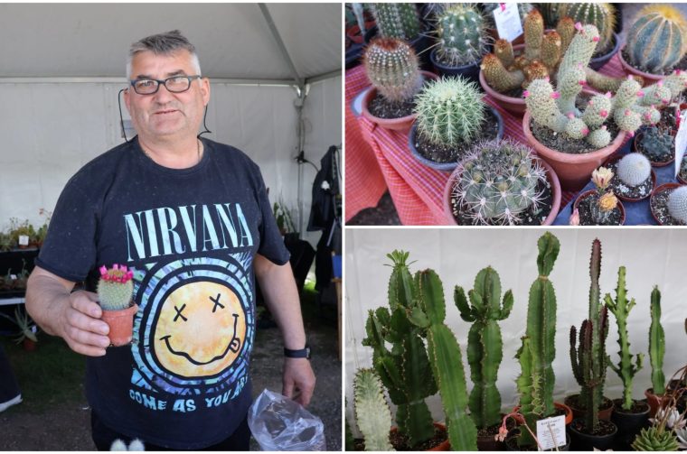 Naslovna Franjo Ciglarić