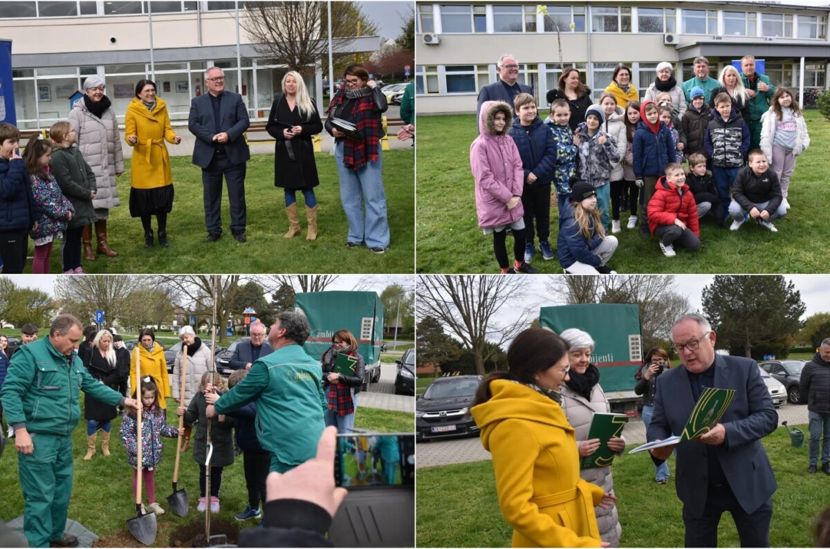 Naslovna Gupčeva lipa