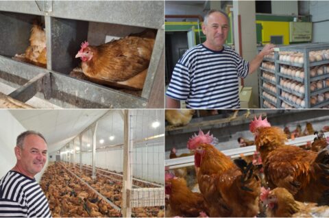 Naslovna Ivan Fabić Kotoriba Naslovna Ivan Fabić Kotoriba