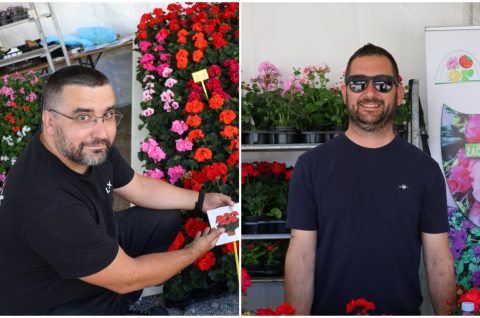 Naslovna Martin Hendelja Luka Balenović