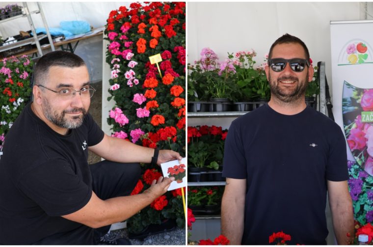 Naslovna Martin Hendelja Luka Balenović