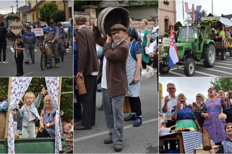 Naslovna, Mursko Središće, Berba grožđa