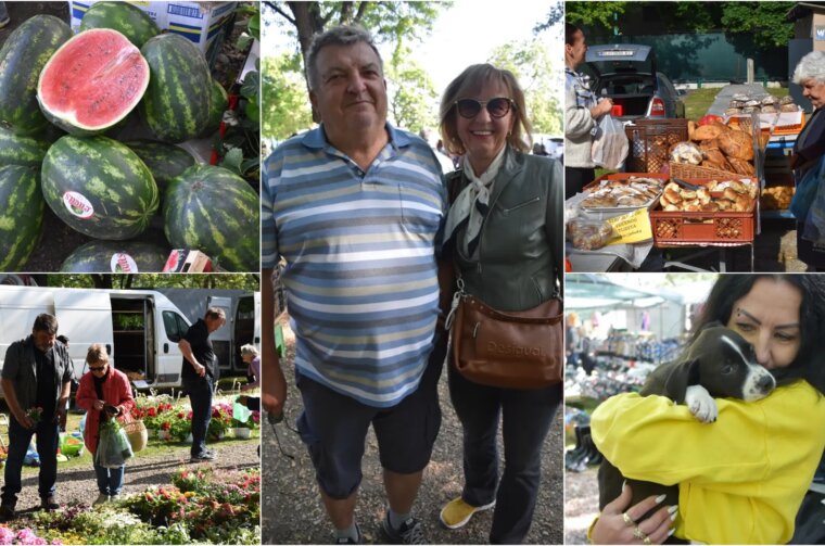 Naslovna Sajam 14.5.2025.