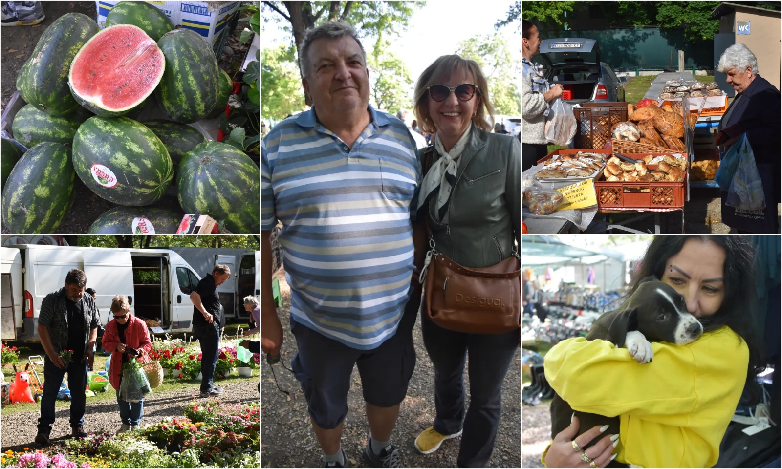 Naslovna Sajam 14.5.2025.