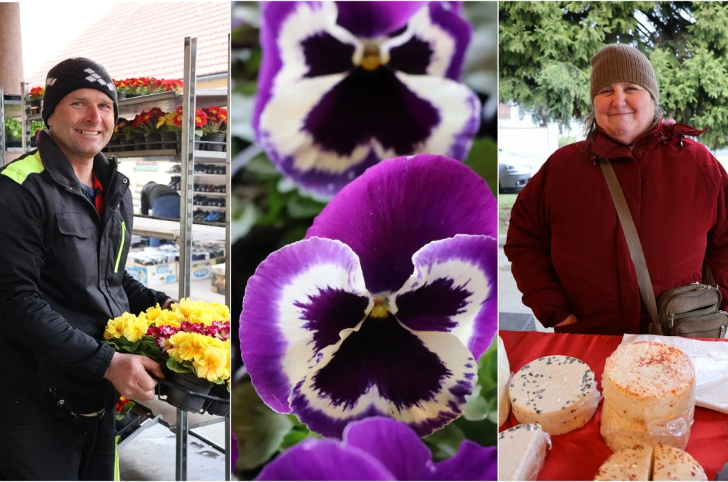 Naslovna Sveta Marija tržnica