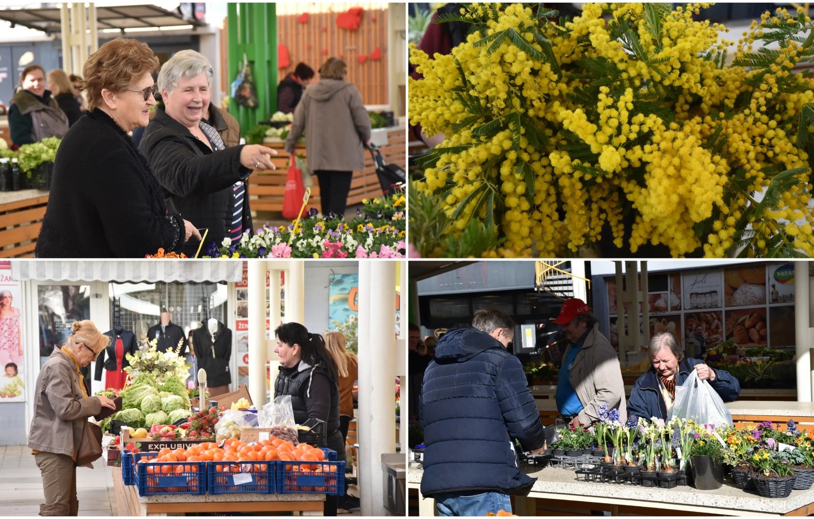 Naslovna Tržnica ČK