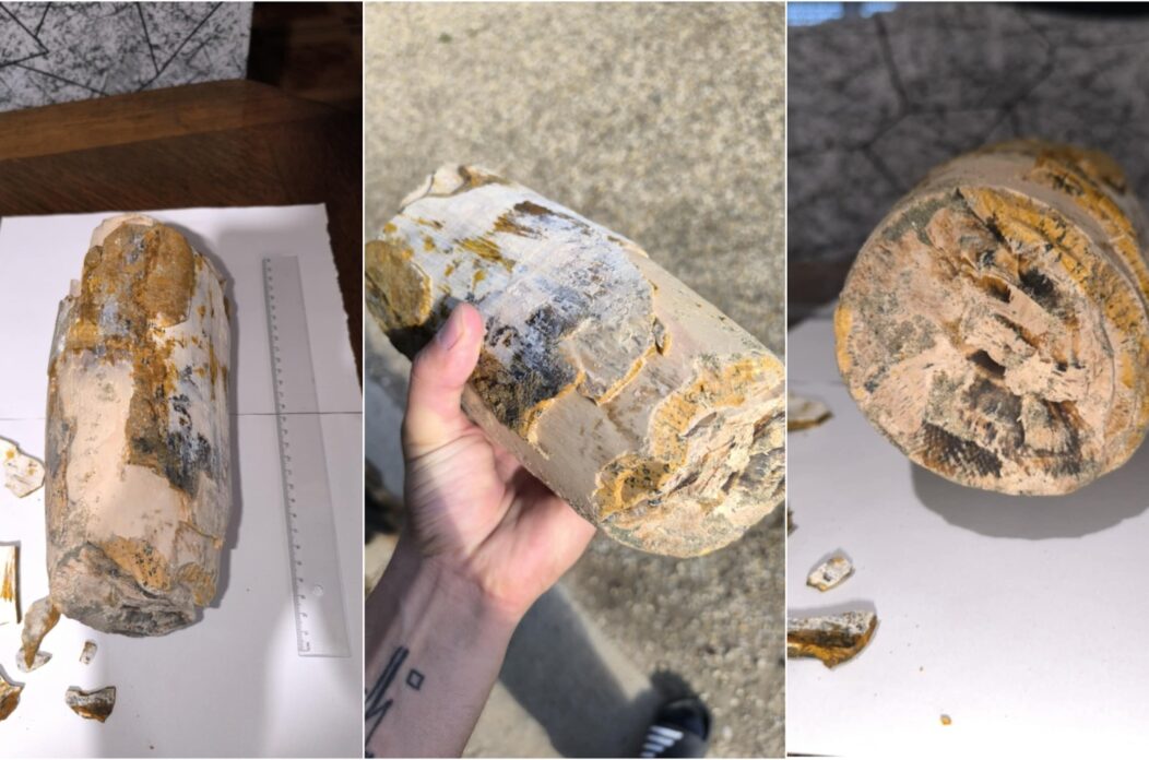 Naslovna Vedran Zdelar kljova