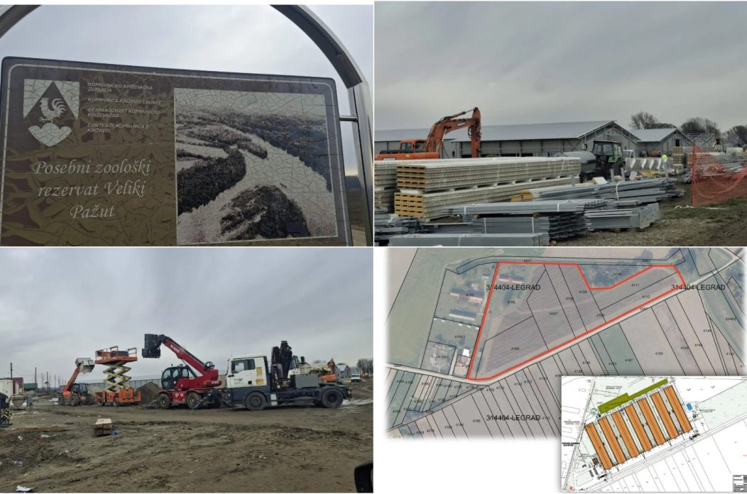 Naslovna Veliki Pažut farma 2 Naslovna Veliki Pažut farma 2