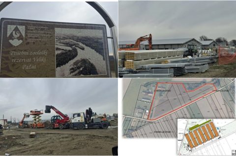 Naslovna Veliki Pažut farma 2