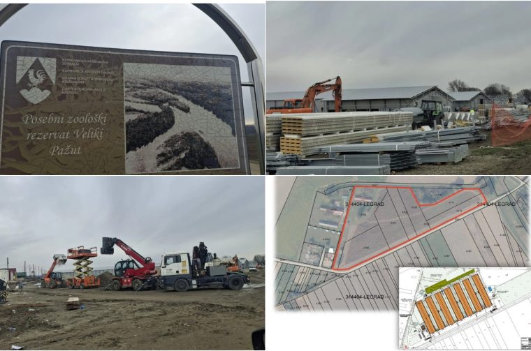 Naslovna Veliki Pažut farma 2