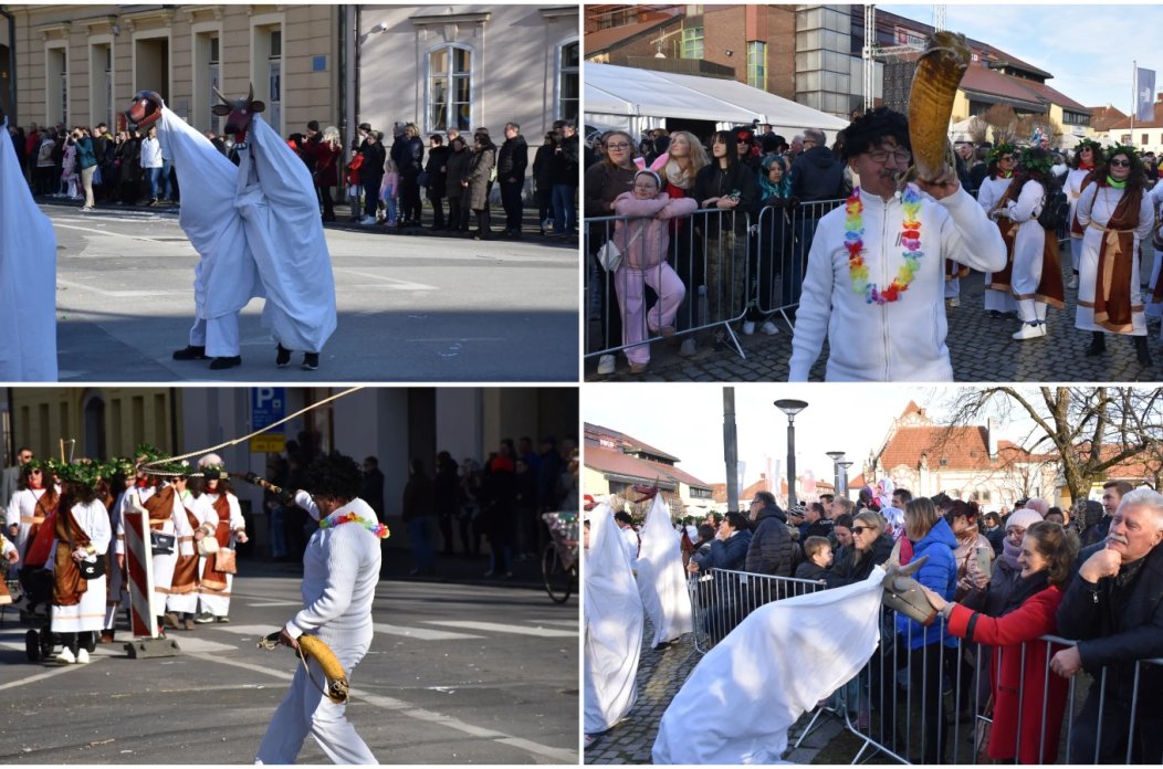 Naslovna, čaplje, Podturen