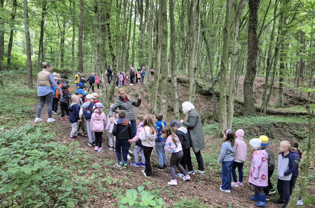 Majuško španceranje Zvončić Majuško španceranje Zvončić