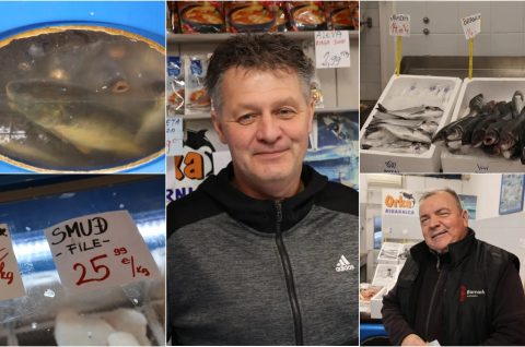 Naslovna ribarnica 24.12.2025.