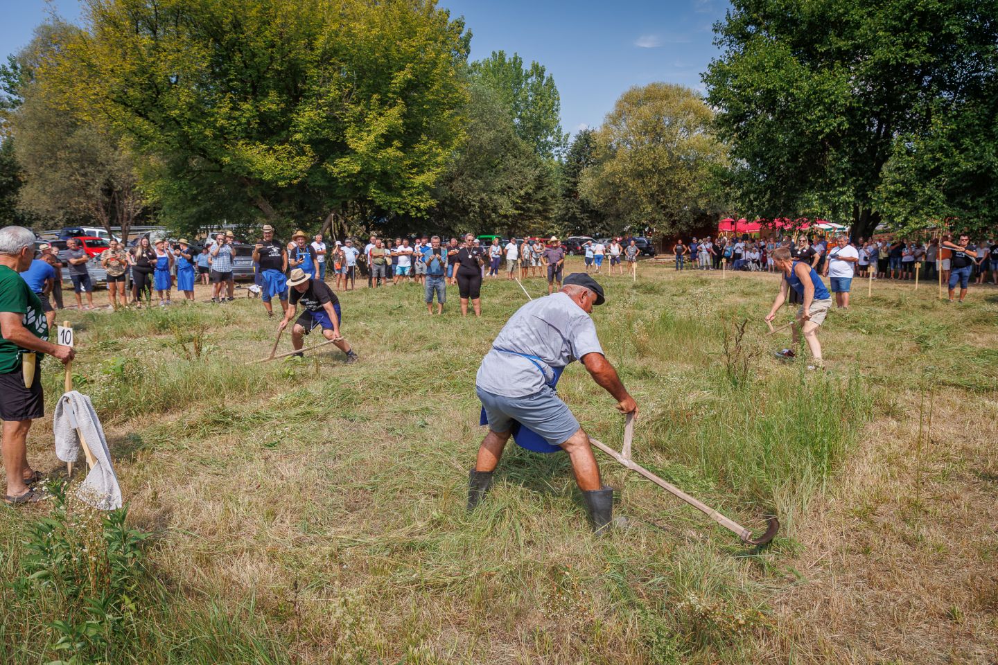 Natjecanje – košnja trave 141