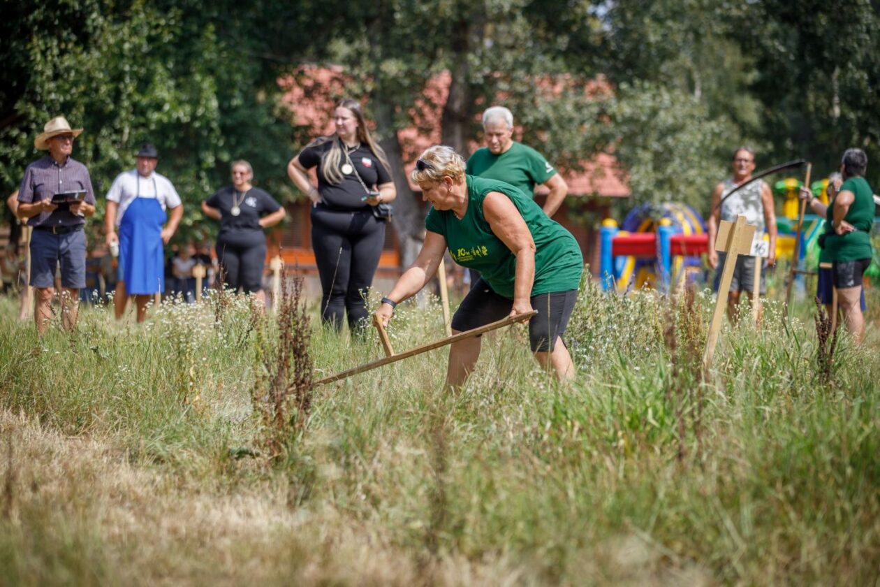 Natjecanje – košnja trave 169 Natjecanje – košnja trave 169