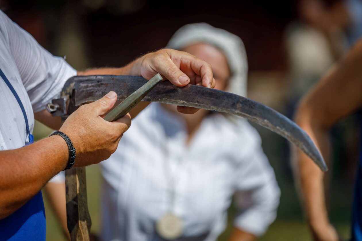 Natjecanje – košnja trave 49 Natjecanje – košnja trave 49