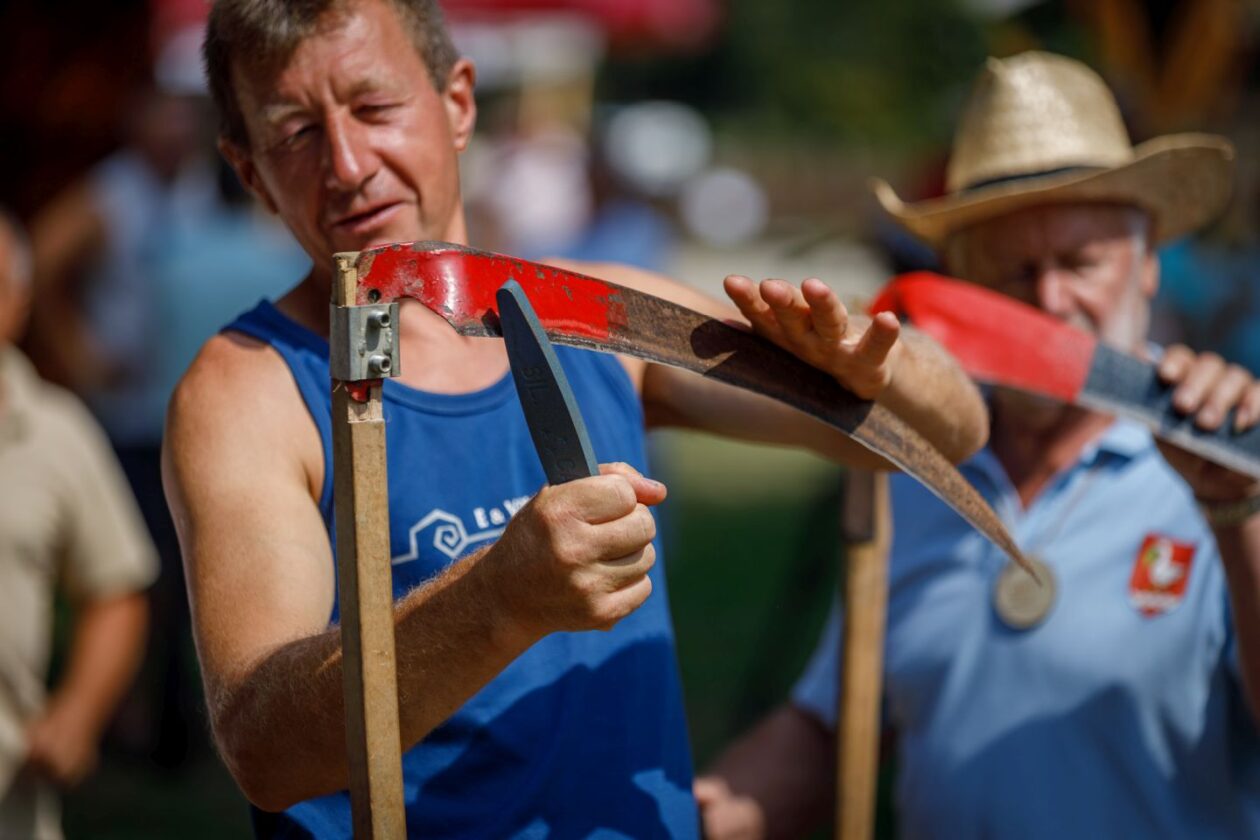 Natjecanje – košnja trave 50 Natjecanje – košnja trave 50