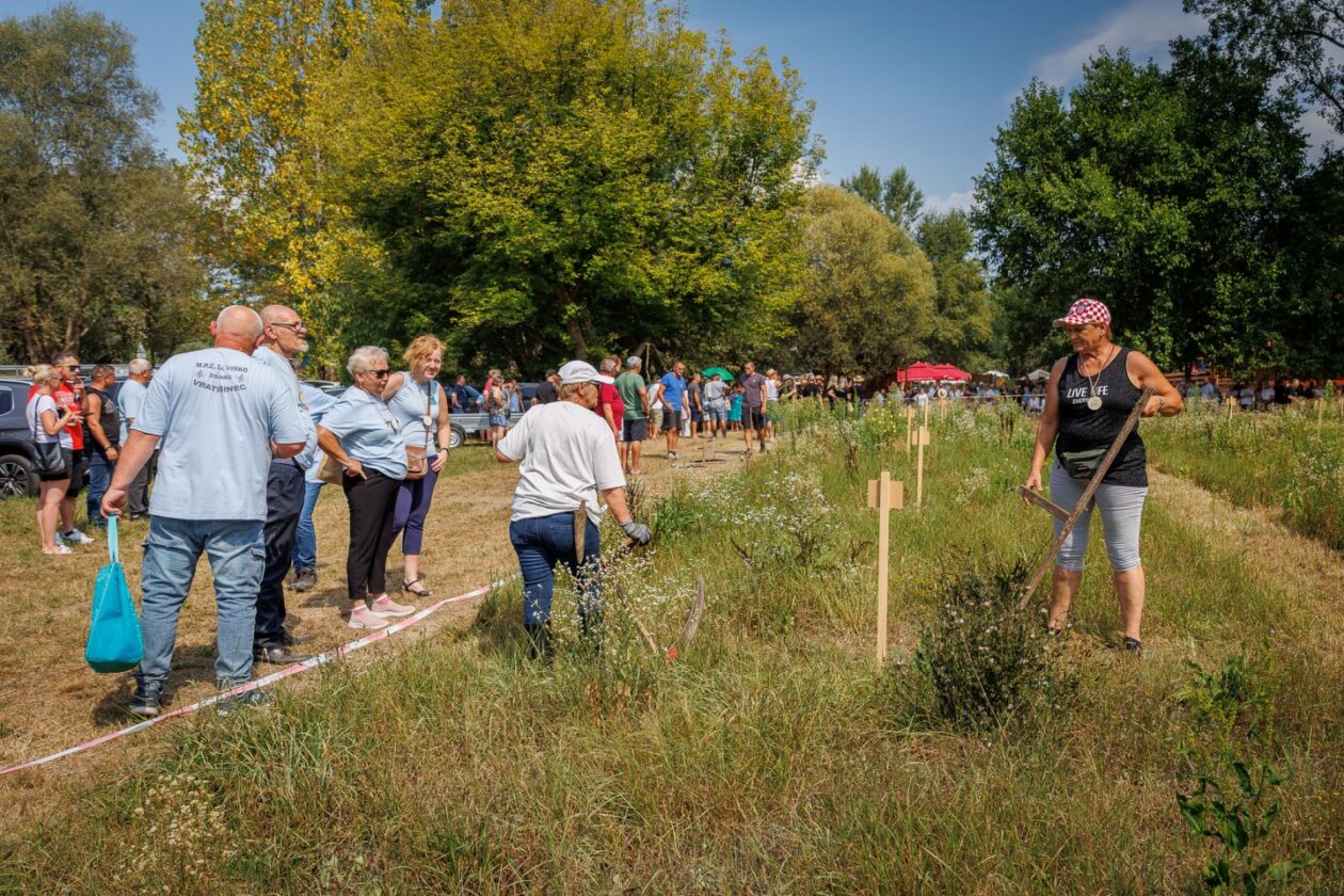 Natjecanje – košnja trave 74 Natjecanje – košnja trave 74