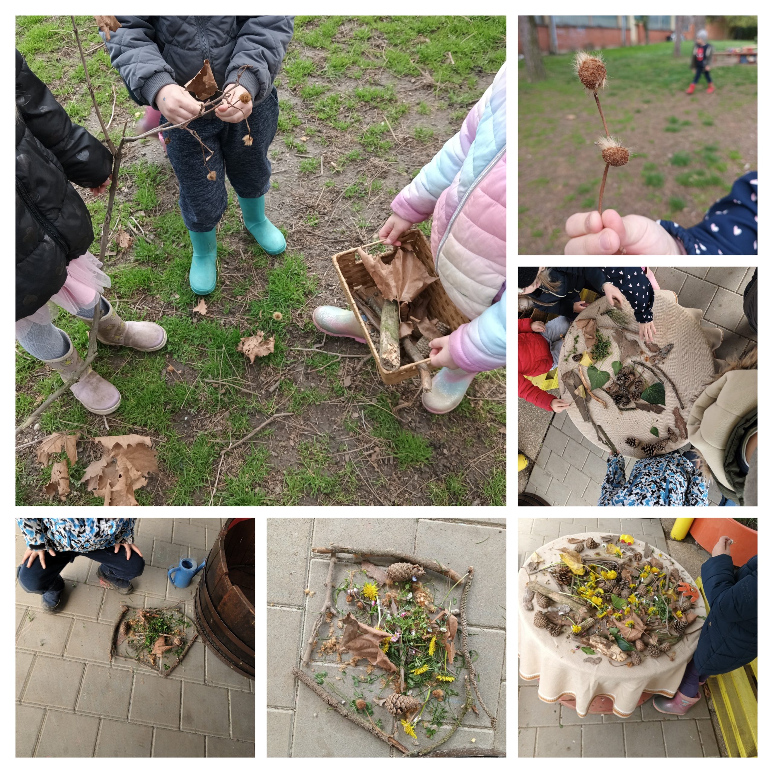 Nature in the Laboratory