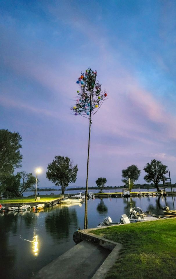 Nautički klub Labud postavio majgu kod Marine Prelog (12)