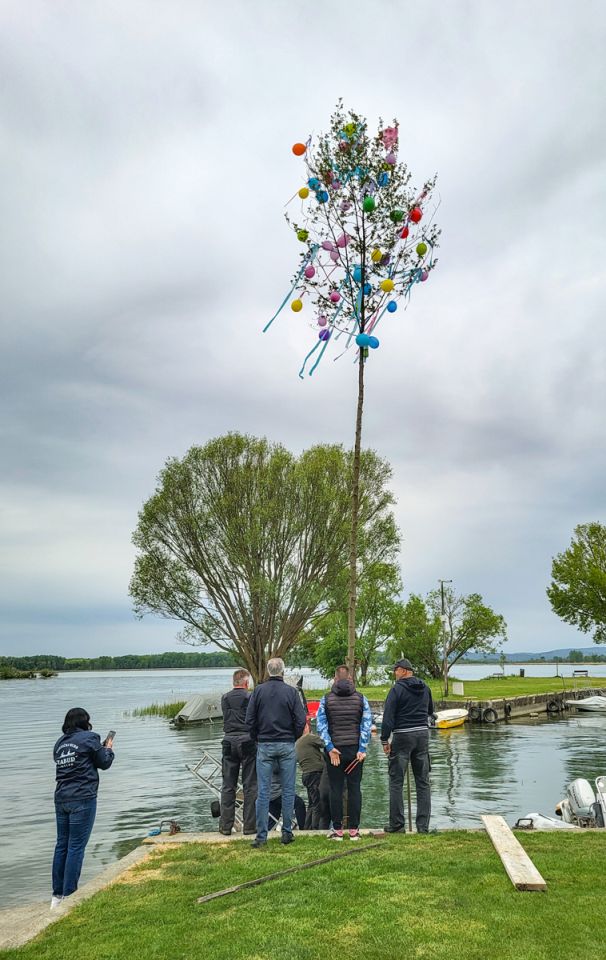 Nautički klub Labud postavio majgu kod Marine Prelog (13)