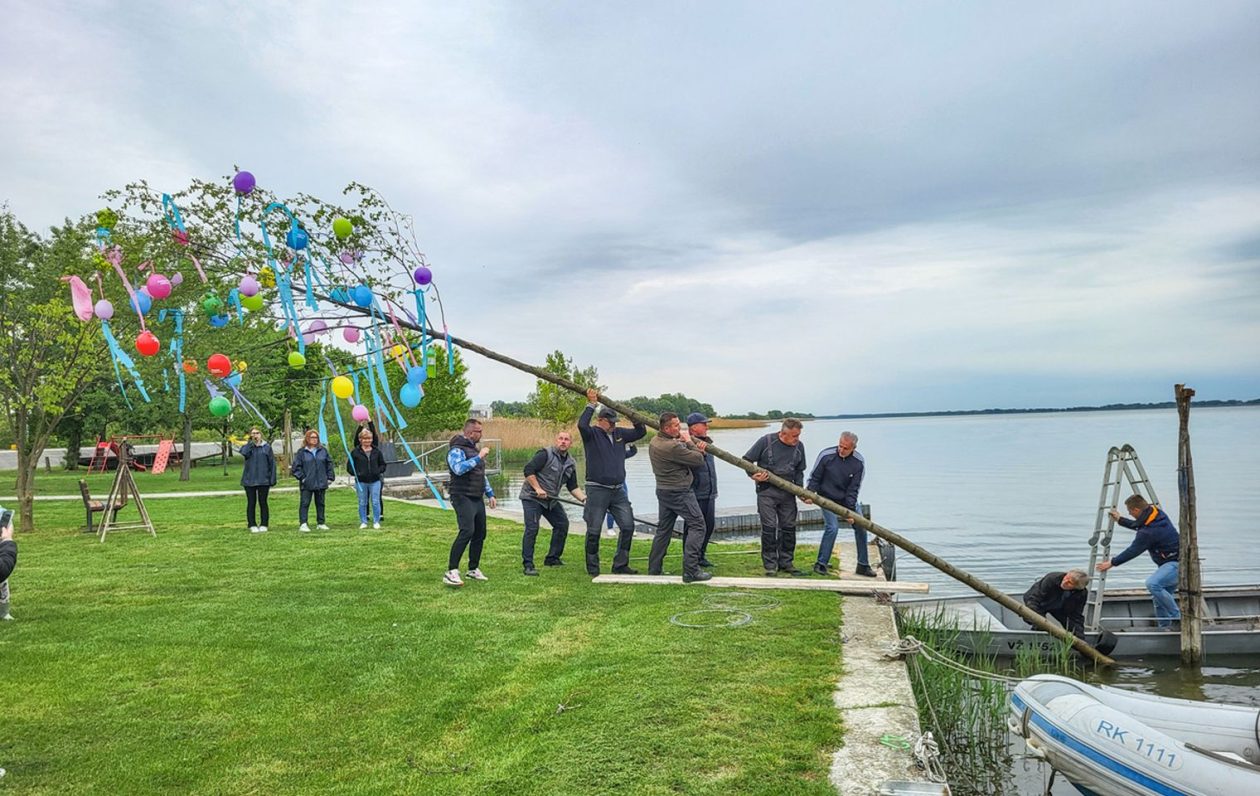 Nautički klub Labud postavio majgu kod Marine Prelog (2)