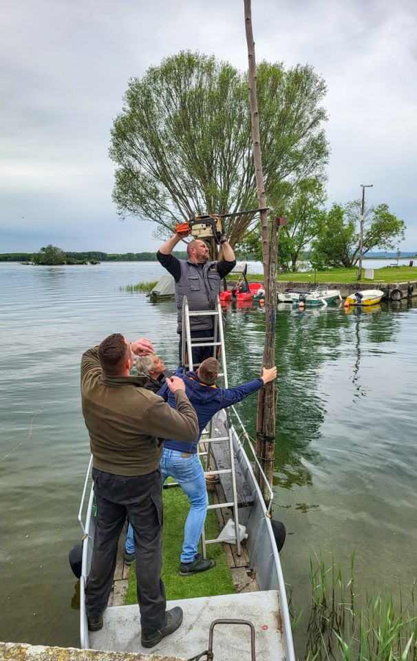 Nautički klub Labud postavio majgu kod Marine Prelog (4)