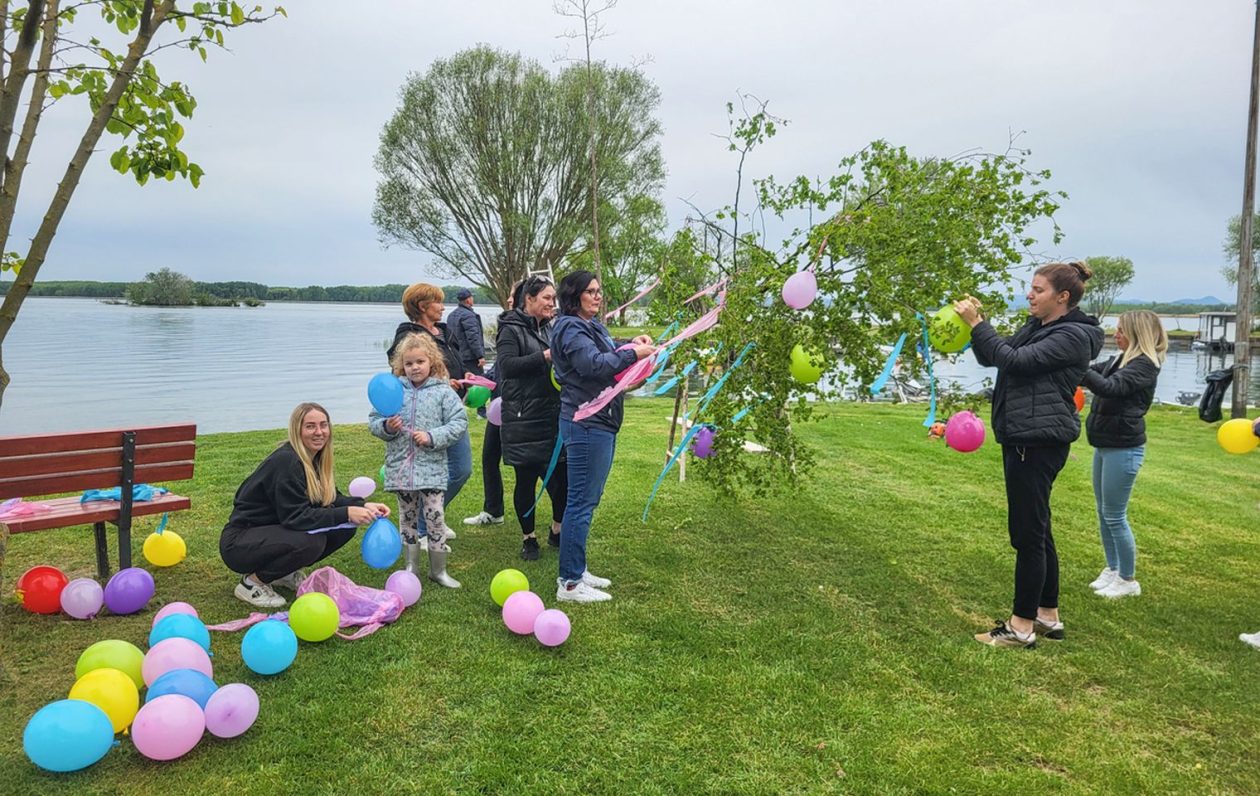 Nautički klub Labud postavio majgu kod Marine Prelog (8)