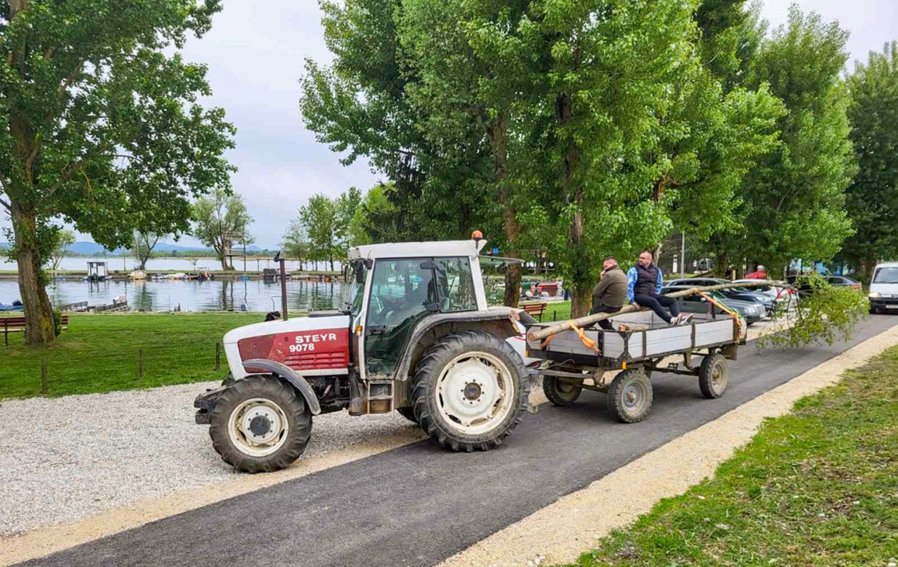 Nautički klub Labud postavio majgu kod Marine Prelog (9)