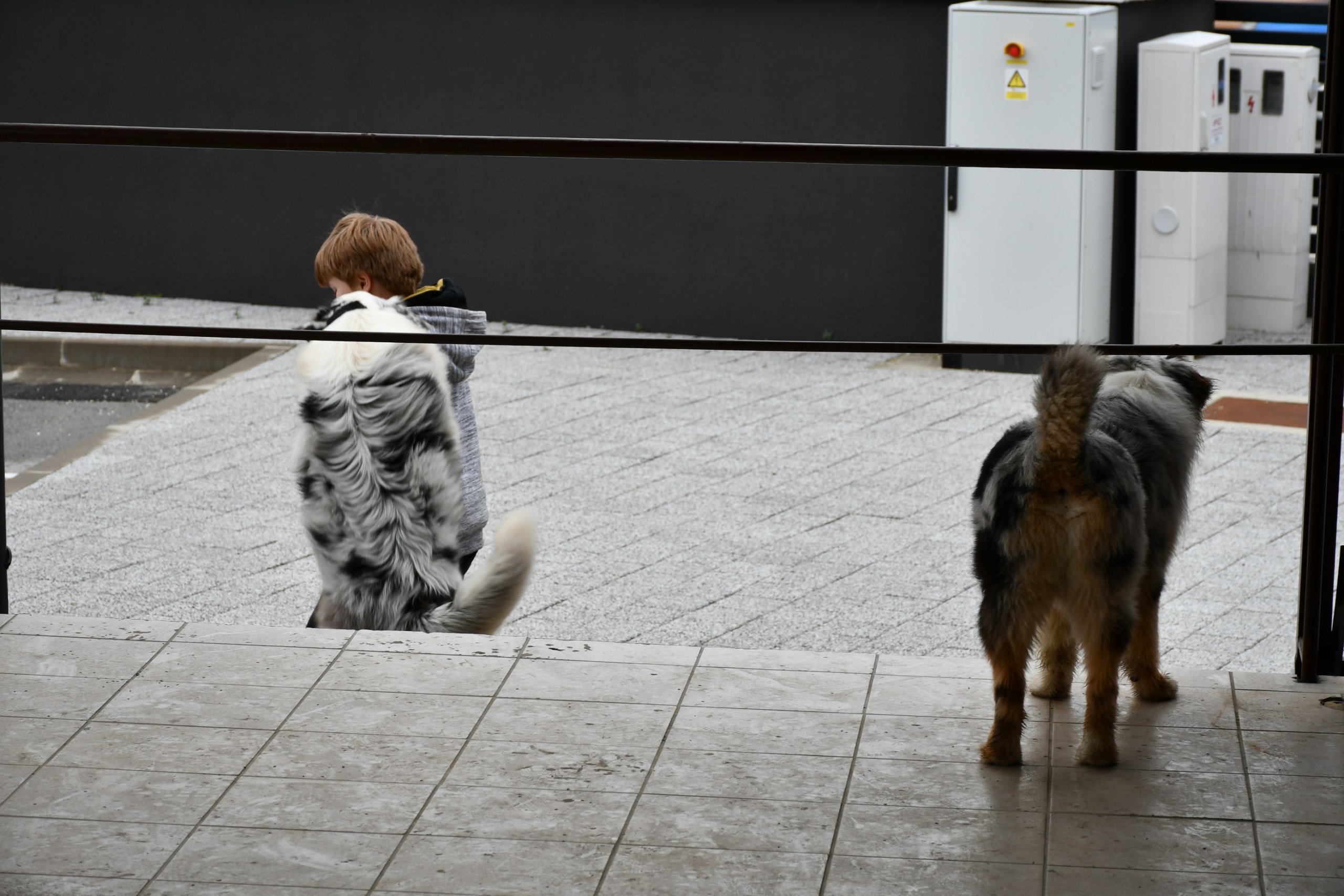 Nedelišće Dani društvenih igara 2025 (45) Nedelišće Dani društvenih igara 2025 (45)