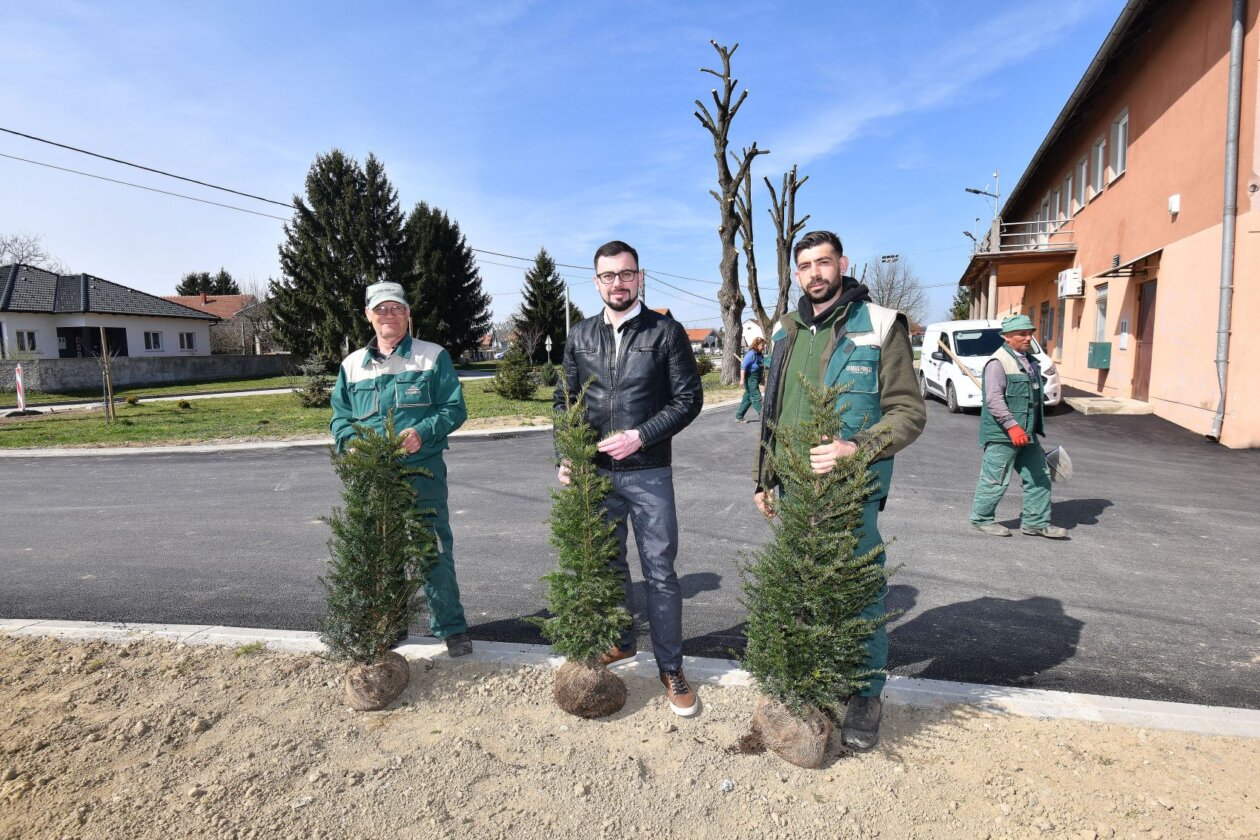 Sadnja stabala na području Općine Nedelišće