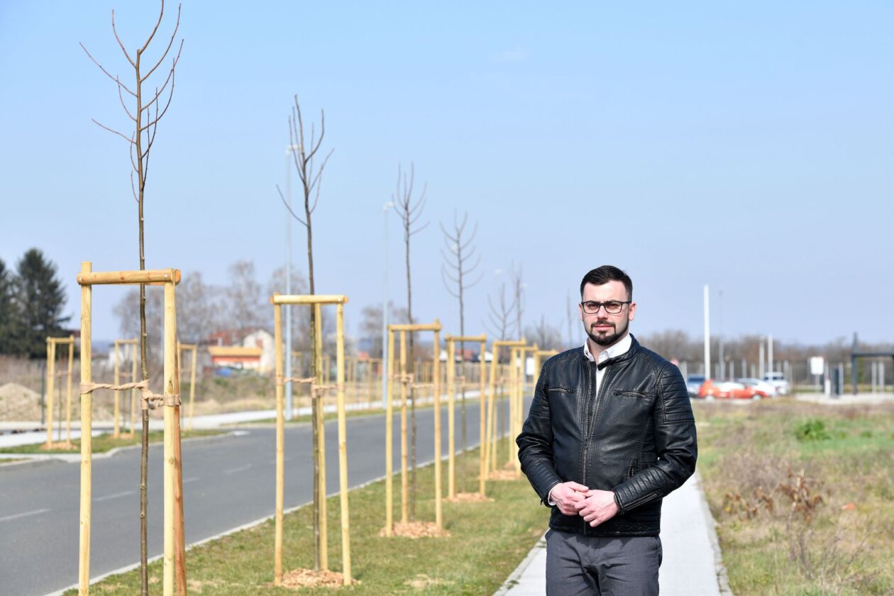 Sadnja stabala na području Općine Nedelišće