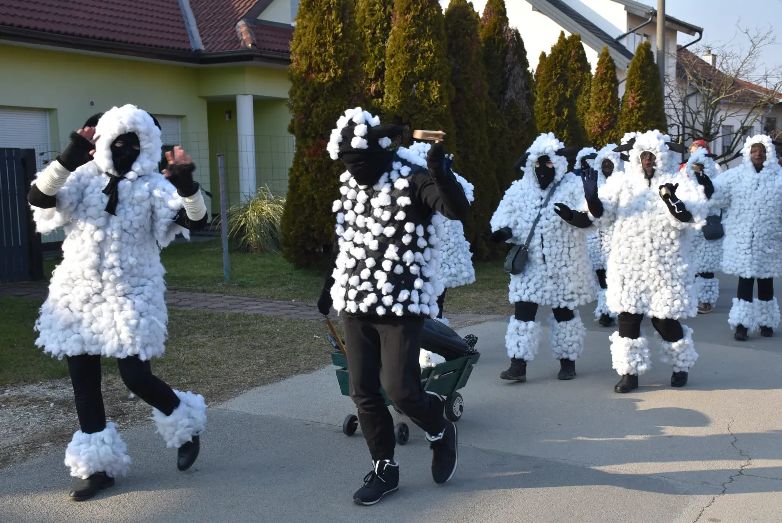 Nedelski fašnik, Nedelišće, fašnjak, 22.2.2025 (47) Nedelski fašnik, Nedelišće, fašnjak, 22.2.2025 (47)
