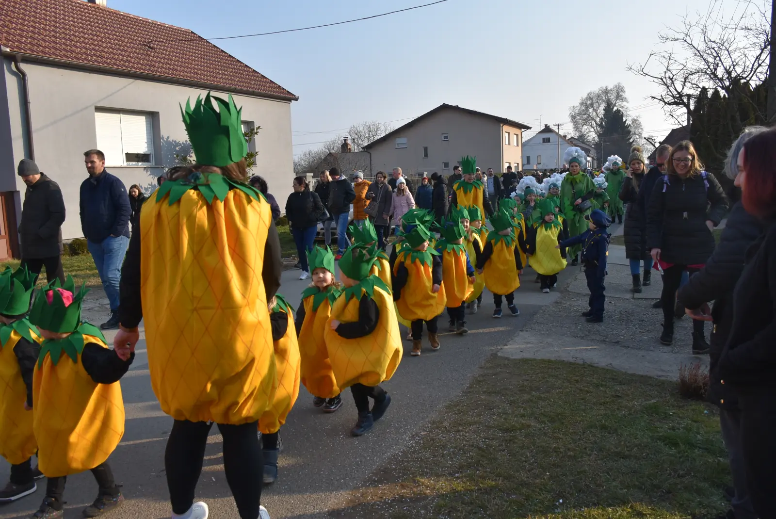 Nedelski fašnik, Nedelišće, fašnjak, 22.2.2025 (67) Nedelski fašnik, Nedelišće, fašnjak, 22.2.2025 (67)