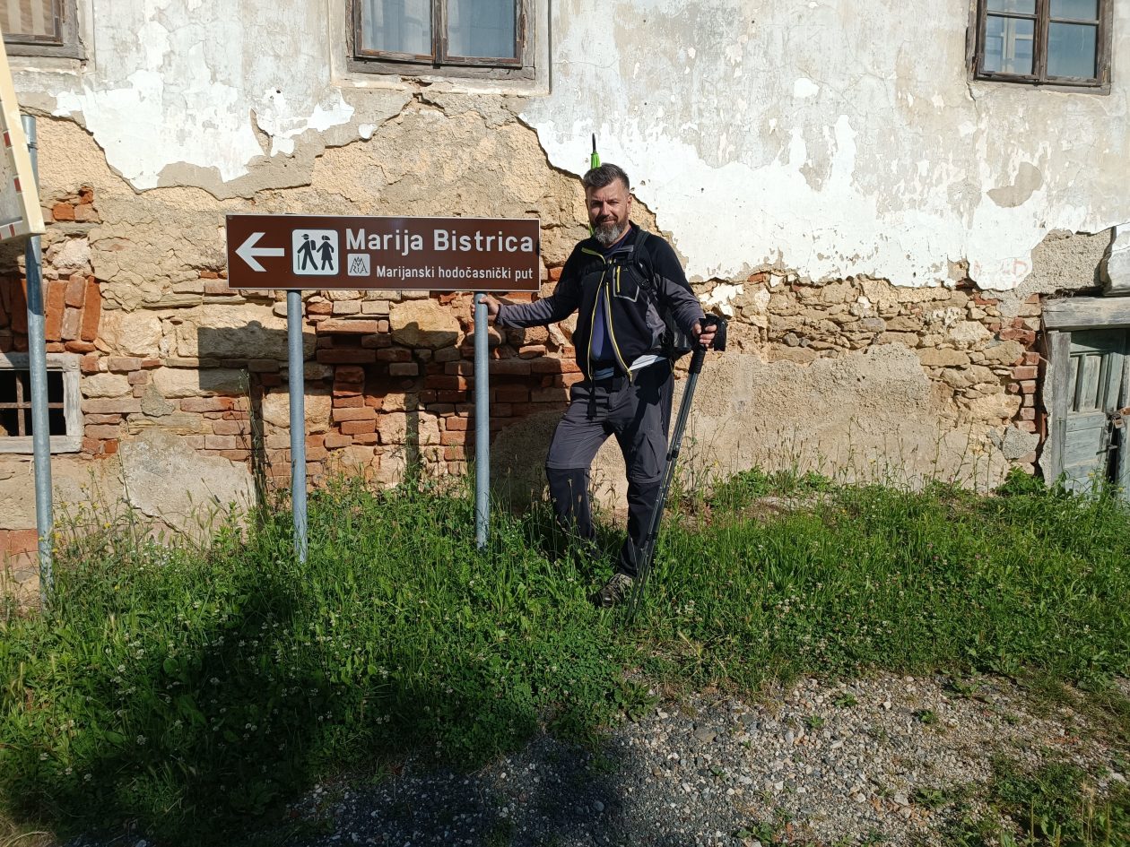 Nenad Šajnović (9)