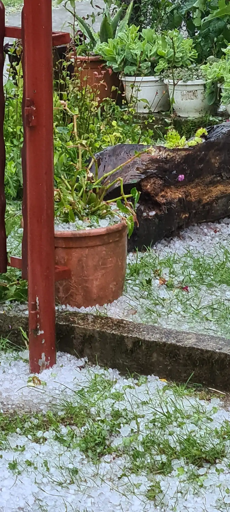 Nevrijeme, tuča, lipanj 2024 (3)