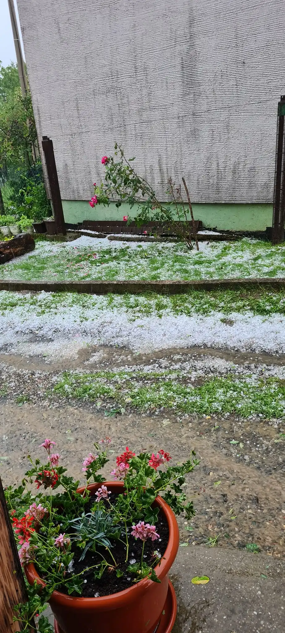 Nevrijeme, tuča, lipanj 2024 (4)