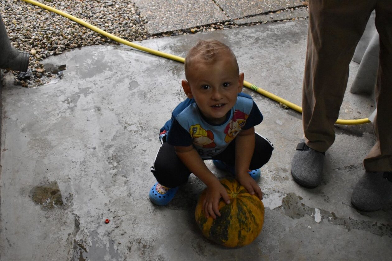 Nikola Lovrec , preseka, izum za tikve (4) Nikola Lovrec , preseka, izum za tikve (4)