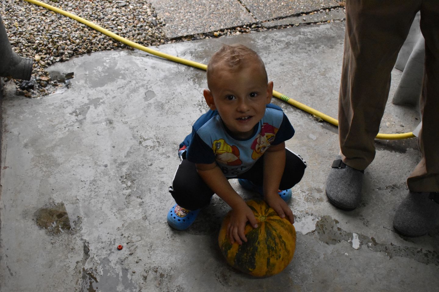 Nikola Lovrec , preseka, izum za tikve (4)