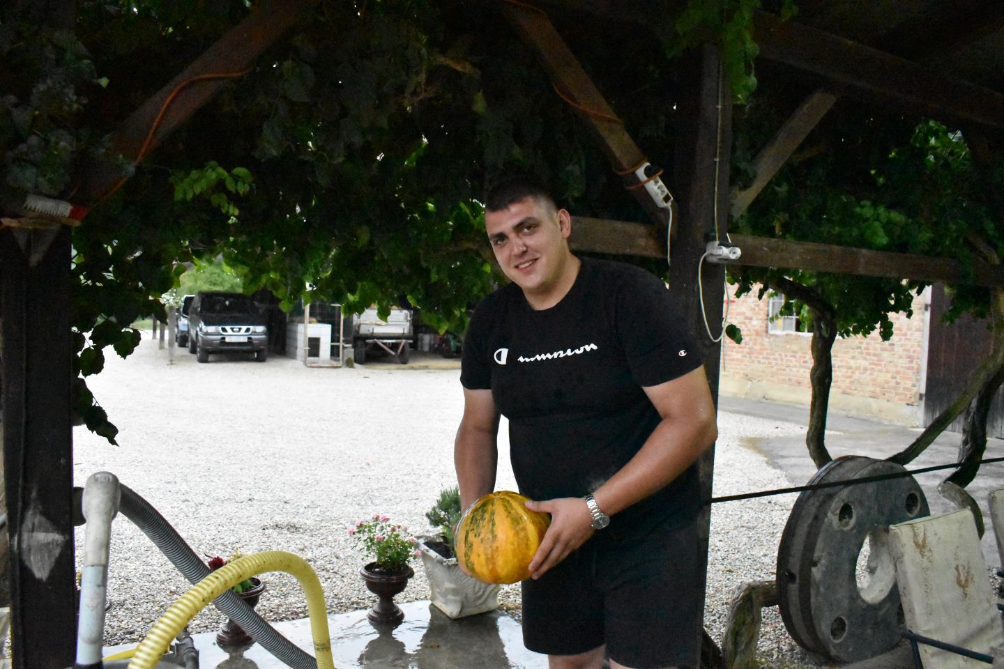 Nikola Lovrec , preseka, izum za tikve (5)