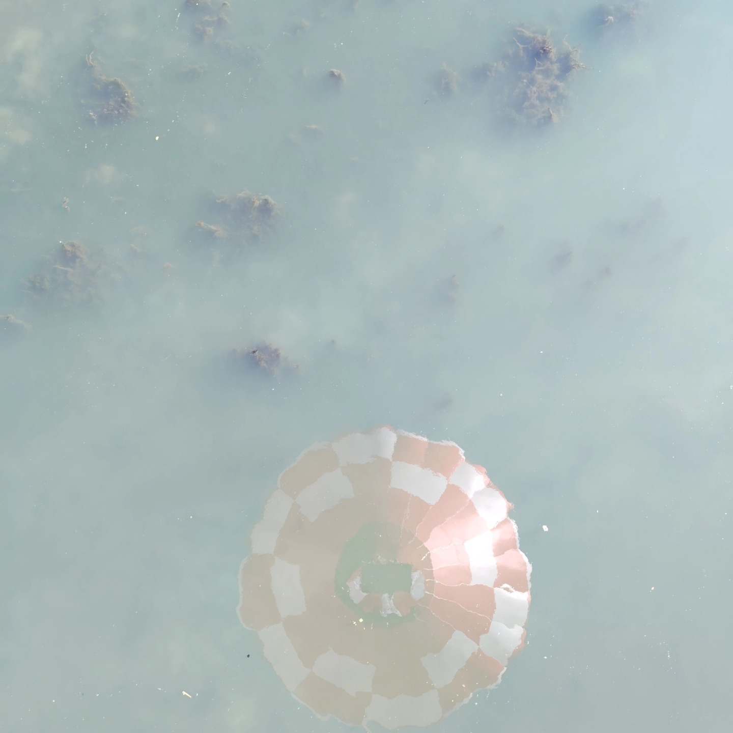 Nikolina Malek, Mateja Subašić, let balonom (7)