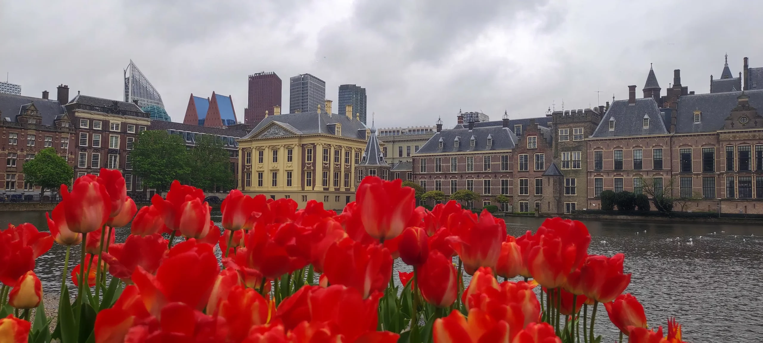 Nizozemska i Belgija (60) Nizozemska i Belgija (60)