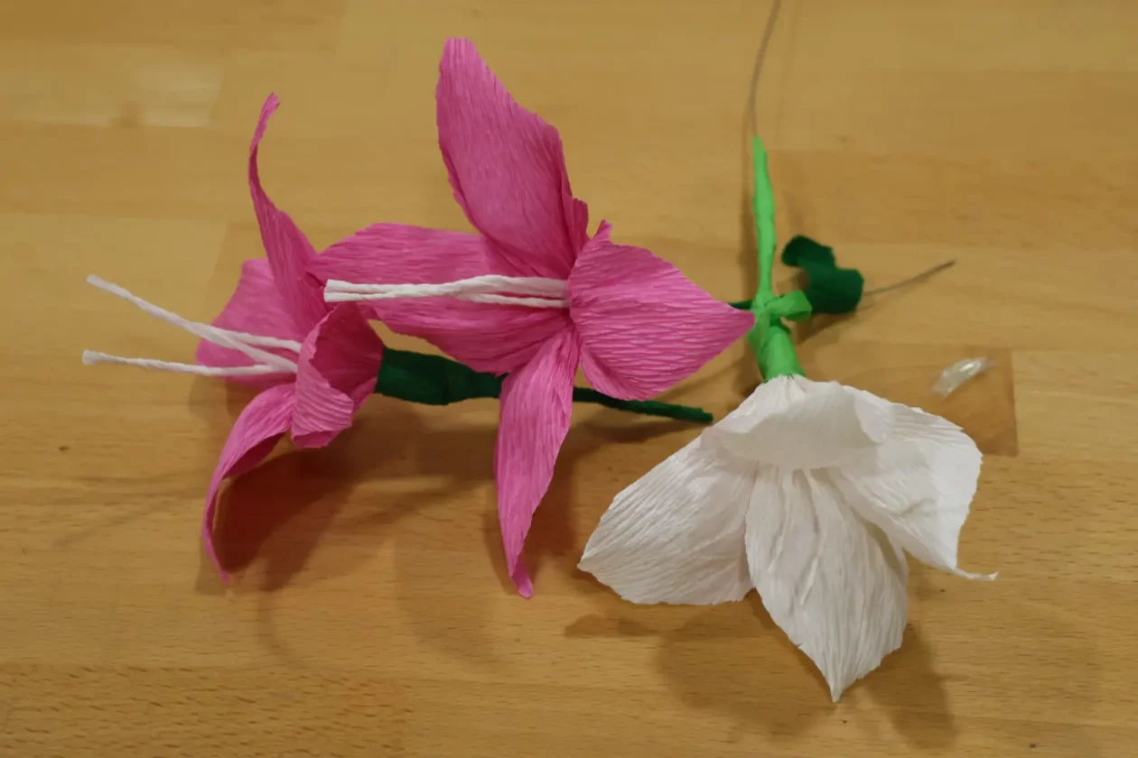 Noć muzeja 2026 Sveta Marija (21)