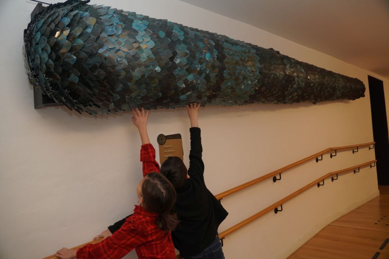 Noć muzeja Muzej Međimurja Čakovec (16)